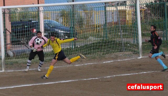 101218_Arenel 086y_tn.jpg